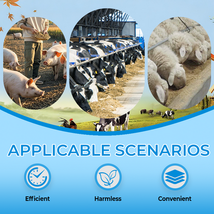 🐛 WURMKUR FÜR DEIN TIER ❤️ JETZT 50% SPAREN! ➡️ ✅ SICHER · SCHNELL · SCHONEND