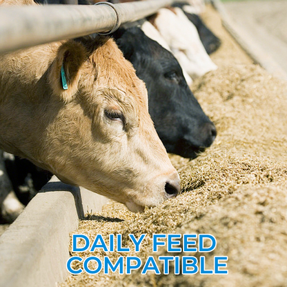 🐛 WURMKUR FÜR DEIN TIER ❤️ JETZT 50% SPAREN! ➡️ ✅ SICHER · SCHNELL · SCHONEND