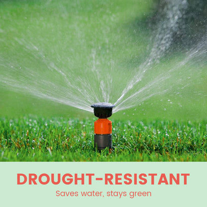 Premium-Rasensamen: Ideal für Hausrasen & Golfplatz ✓ 🌿🏌️‍♂️