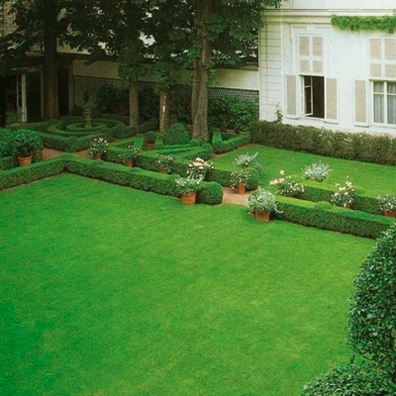 Premium-Rasensamen: Ideal für Hausrasen & Golfplatz ✓ 🌿🏌️‍♂️