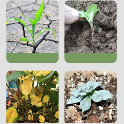 Universeller Multi-Action Bodenaktivator 🌱✨