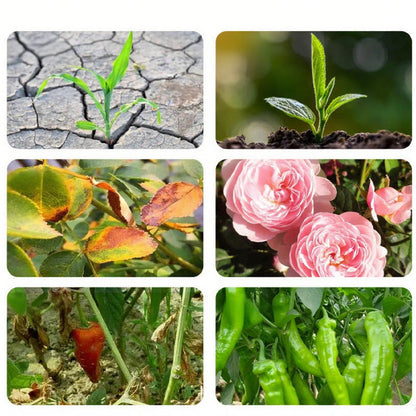 Universeller Multi-Action Bodenaktivator 🌱✨