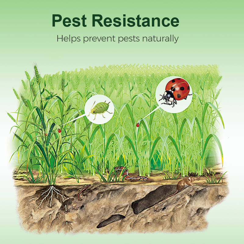 Nützliche Mikroorganismen-Dünger
