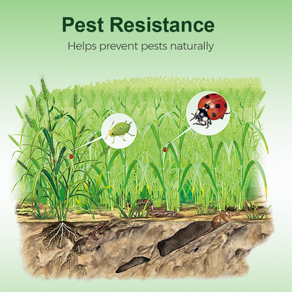 Nützliche Mikroorganismen-Dünger