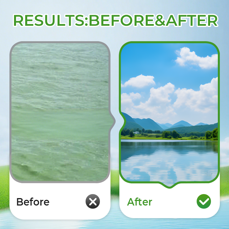 Multifunktionales Futterergänzungspulver für Aquakultur 🌊🐟✨