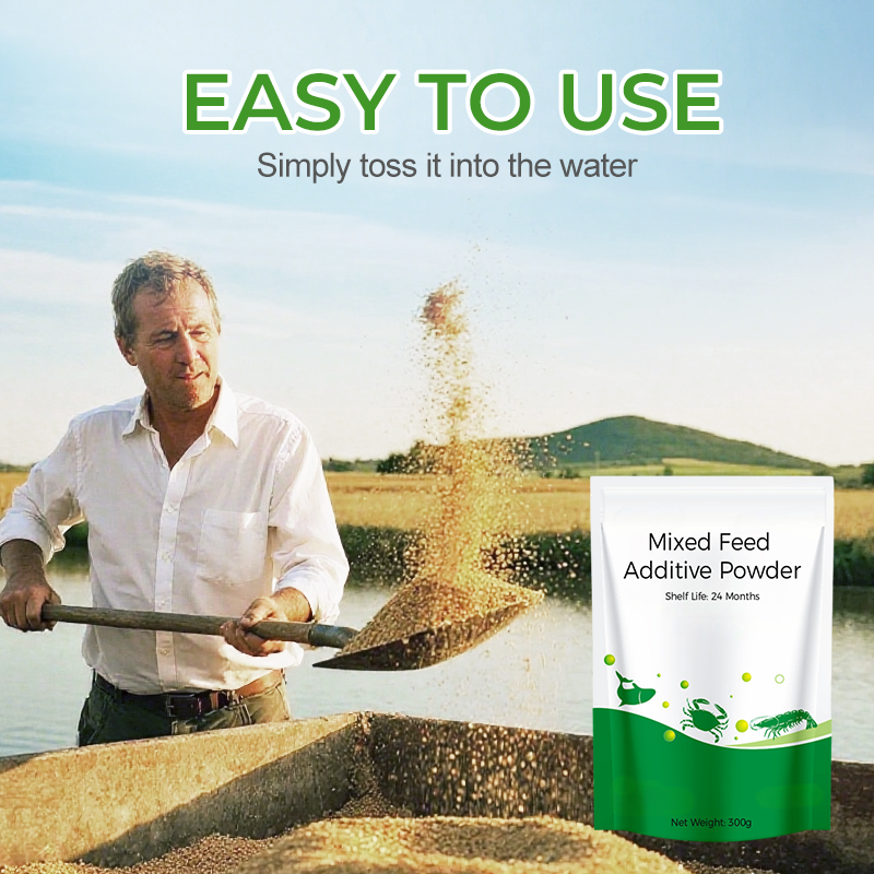 Multifunktionales Futterergänzungspulver für Aquakultur 🌊🐟✨