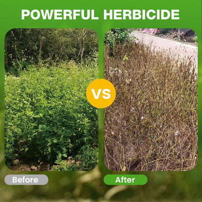 Starkes 2,4-D und Glyphosat Herbizid! 💪🌿⚡