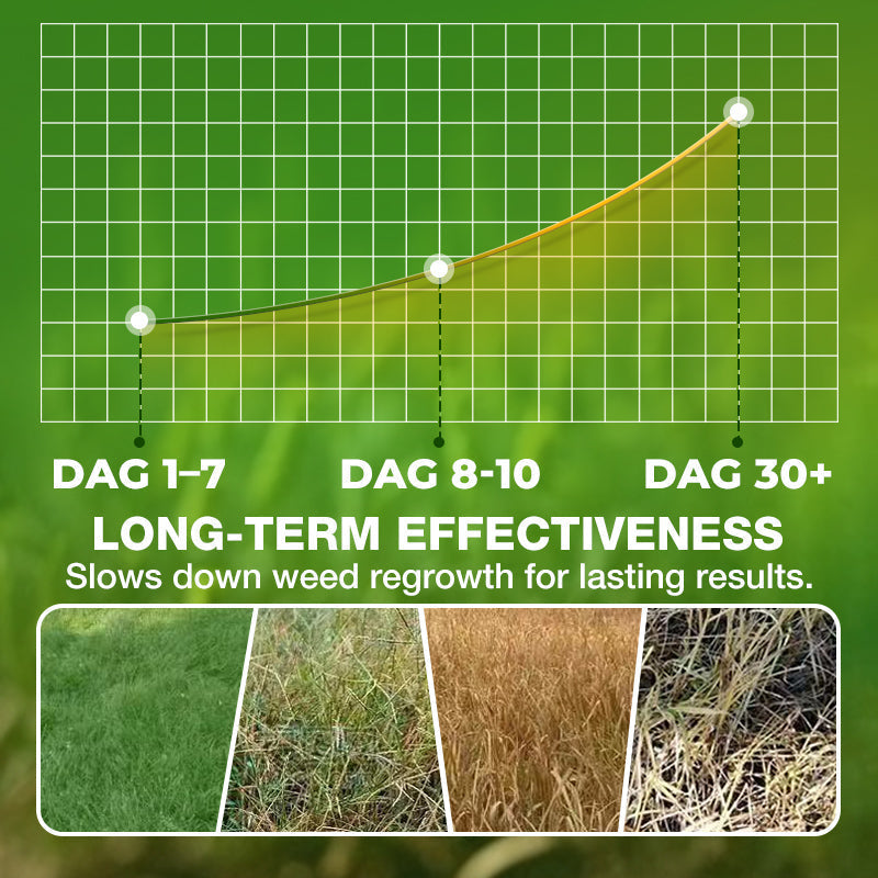 Starkes 2,4-D und Glyphosat Herbizid! 💪🌿⚡