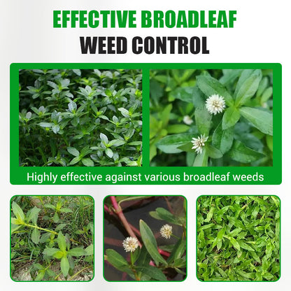 Hochwirksames Herbizid gegen breitblättrige Unkräuter