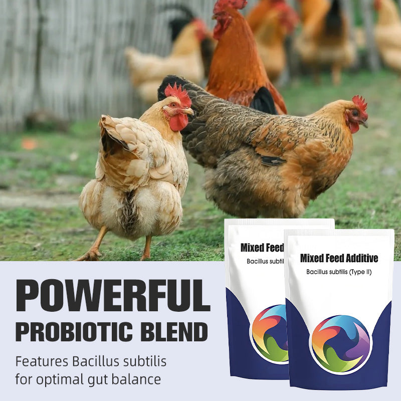 Probiotisches & Enzym-Futteradditiv 🌱✨🐓🐄