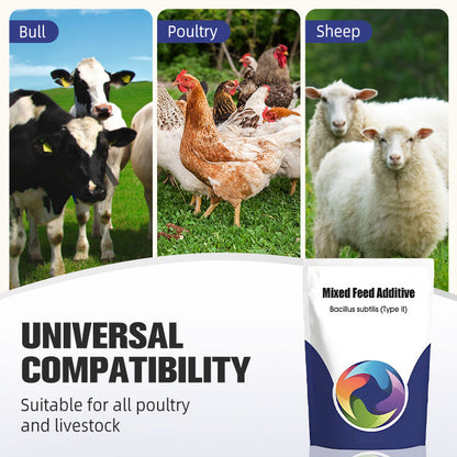 Probiotisches & Enzym-Futteradditiv 🌱✨🐓🐄