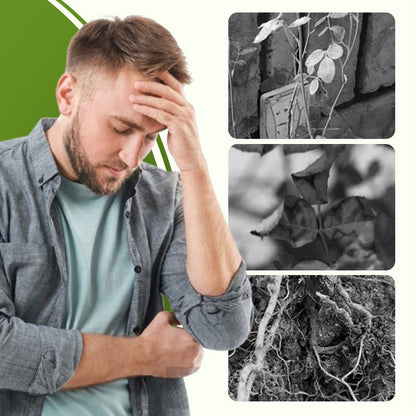 Wasserlöslicher Dünger mit Krankheitsschutz 💧🛡️🌱