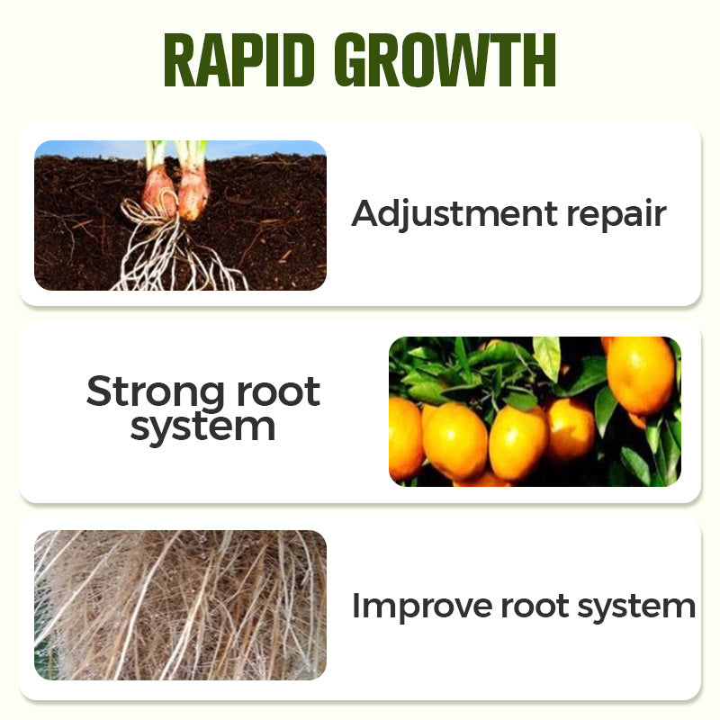 Wasserlöslicher Dünger mit Krankheitsschutz 💧🛡️🌱