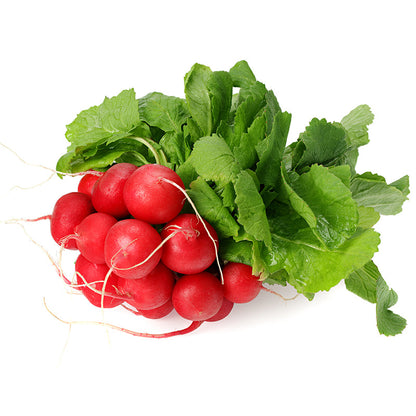 Schnellwachsende Cherry-Belle-Rettichsamen