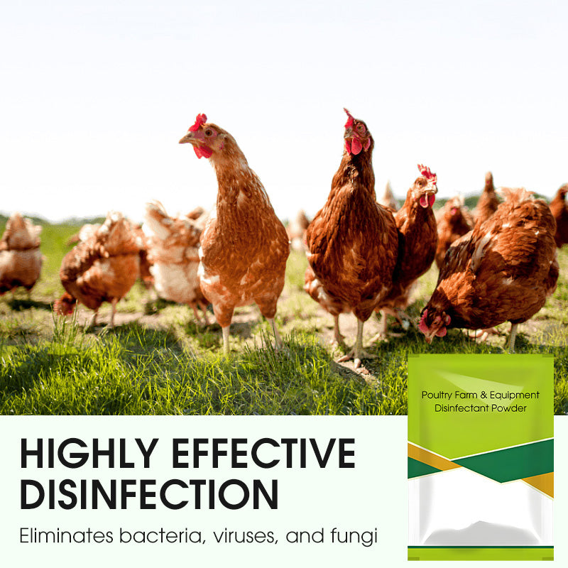100 g Desinfektionspulver für Geflügelställe & landwirtschaftliche Geräte