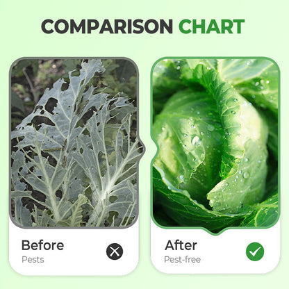 🔥🔥Premium-Dünger für Kohl – fördert das Wachstum🔥