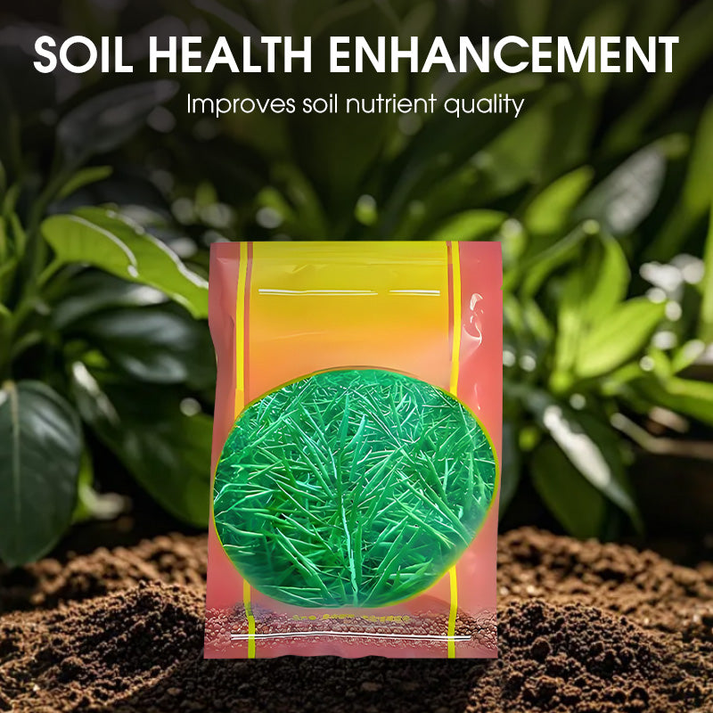 Hochwertiges Raps-Saatgut mit hohem Ertrag