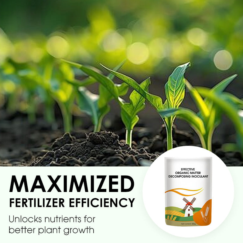 Effektiver Impfstoff für die Zersetzung von organischem Material 🧪🌱