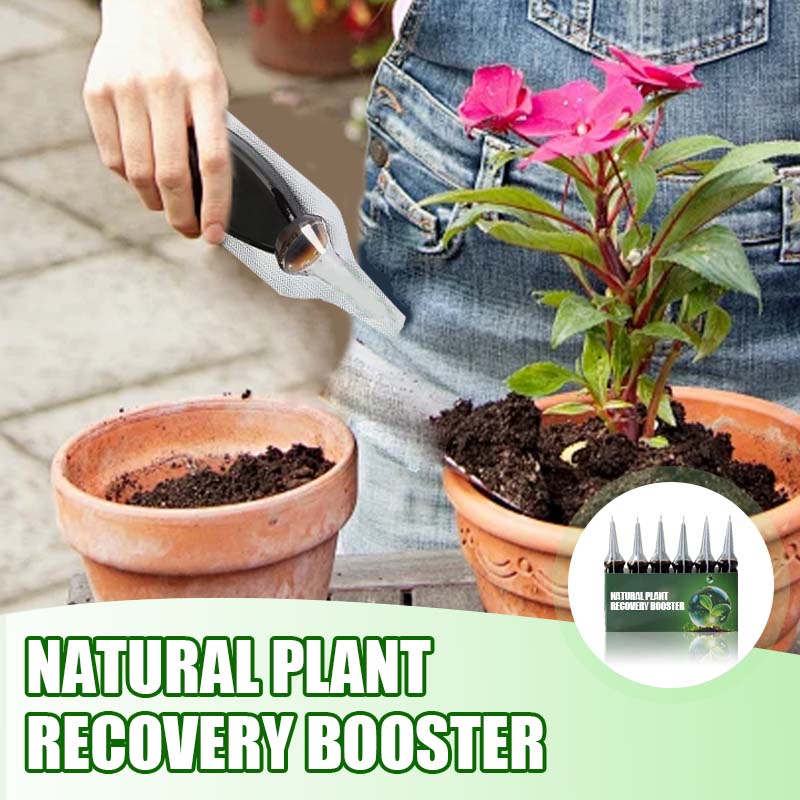 Natürlicher Pflanzen-Wiederbelebungs-Booster mit essentiellen Nährstoffen 🌿⚗️