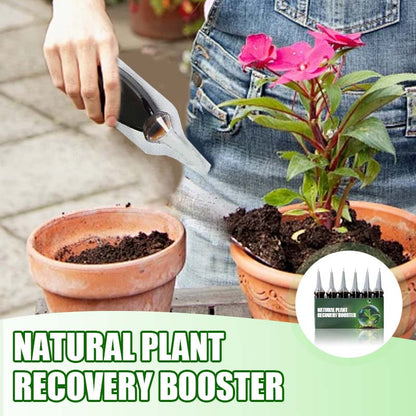 Natürlicher Pflanzen-Wiederbelebungs-Booster mit essentiellen Nährstoffen 🌿⚗️