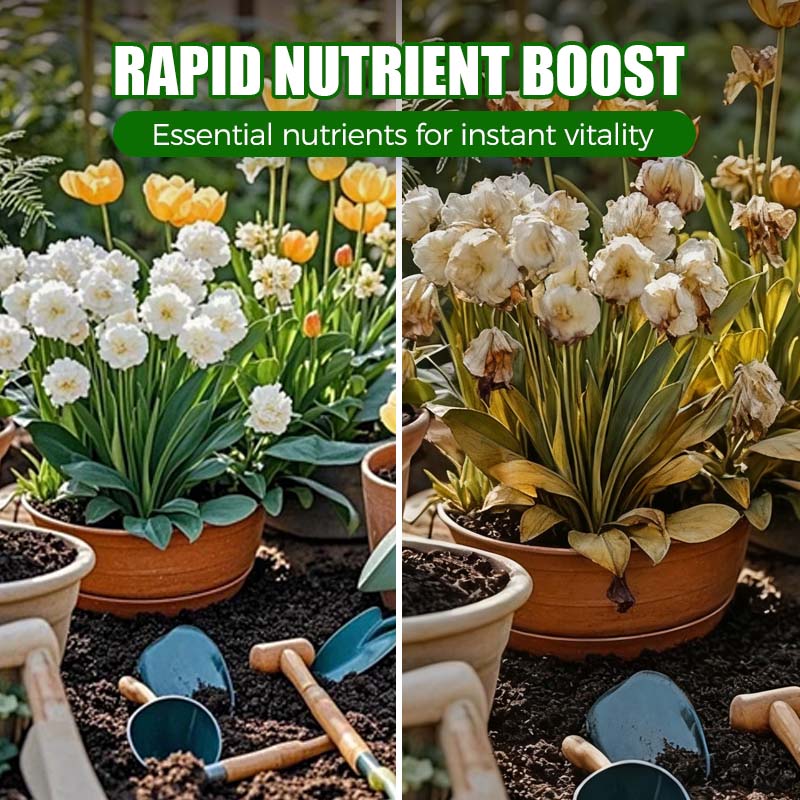 Natürlicher Pflanzen-Wiederbelebungs-Booster mit essentiellen Nährstoffen 🌿⚗️