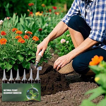 Natürlicher Pflanzen-Wiederbelebungs-Booster mit essentiellen Nährstoffen 🌿⚗️
