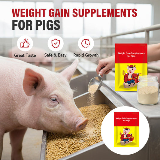 Ergänzungsfuttermittel zur Gewichtszunahme für Schweine