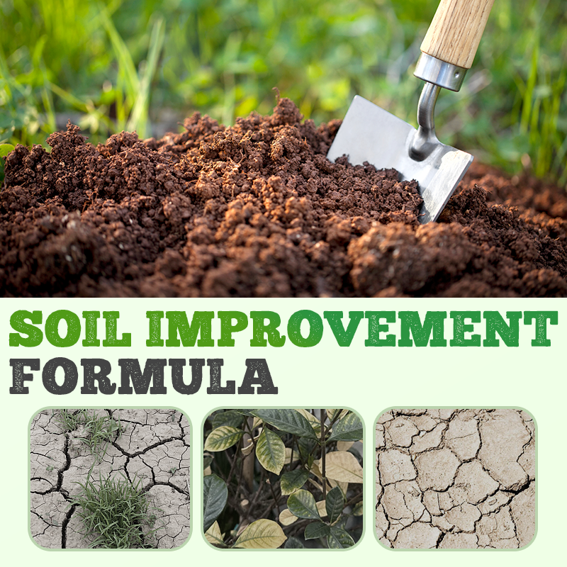 Hochkonzentrierte umweltfreundliche Kompostbakterien