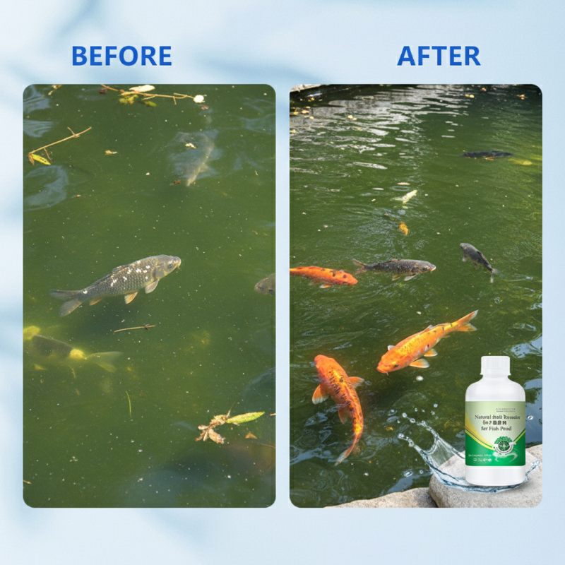 250 ml natürliches Mittel gegen Parasiten für Fischteiche