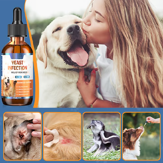 Natürliches Hefepilz-Behandlung für Hunde 🐶🌿✨