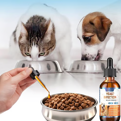 Natürliches Hefepilz-Behandlung für Hunde 🐶🌿✨