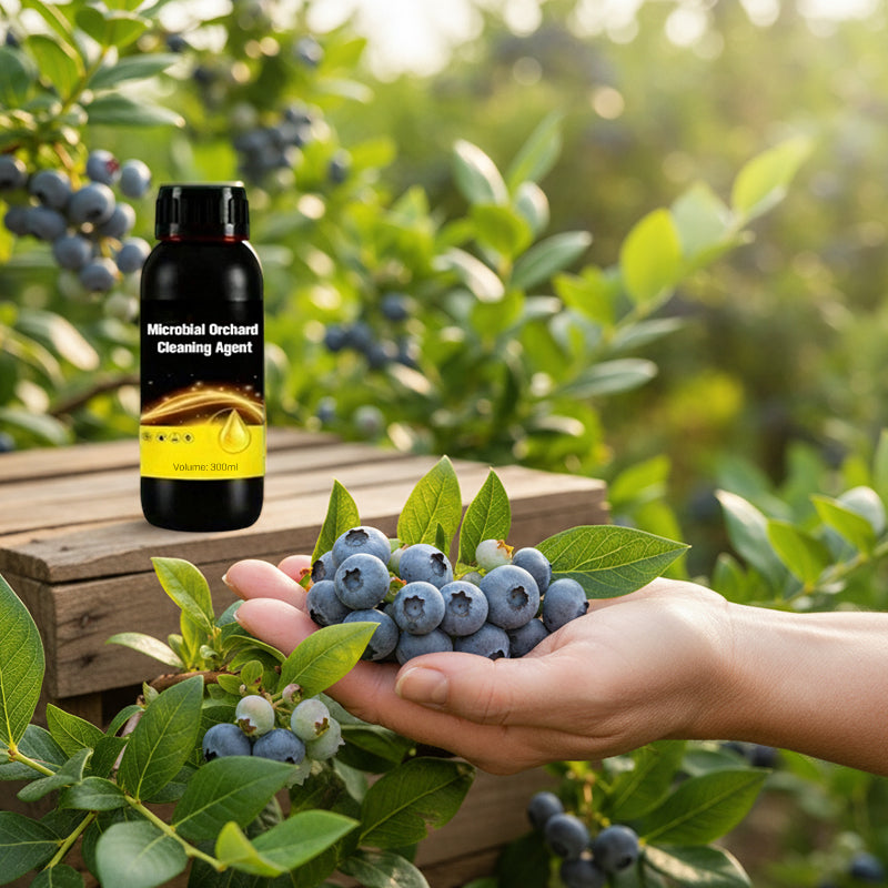 🍎 Obstgartenreiniger – mikrobielle Wirkung + 50 % Rabatt!