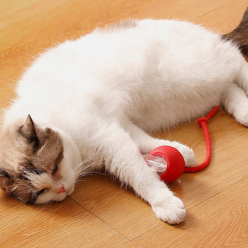 🐾 50% RABATT! 🔥 Intelligenter selbstrollender Ball – Hindernissensor, aufladbar & leicht – Perfekt für Hunde & Katzen – 3 Farben, interaktiver Spielspaß für drinnen und draußen 🎾