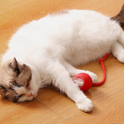 🐾 50% RABATT! 🔥 Intelligenter selbstrollender Ball – Hindernissensor, aufladbar & leicht – Perfekt für Hunde & Katzen – 3 Farben, interaktiver Spielspaß für drinnen und draußen 🎾