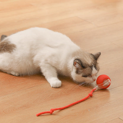🐾 50% RABATT! 🔥 Intelligenter selbstrollender Ball – Hindernissensor, aufladbar & leicht – Perfekt für Hunde & Katzen – 3 Farben, interaktiver Spielspaß für drinnen und draußen 🎾