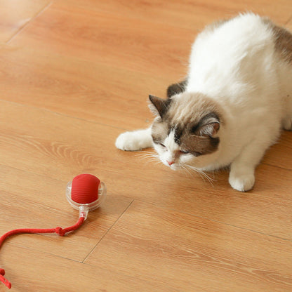 🐾 50% RABATT! 🔥 Intelligenter selbstrollender Ball – Hindernissensor, aufladbar & leicht – Perfekt für Hunde & Katzen – 3 Farben, interaktiver Spielspaß für drinnen und draußen 🎾