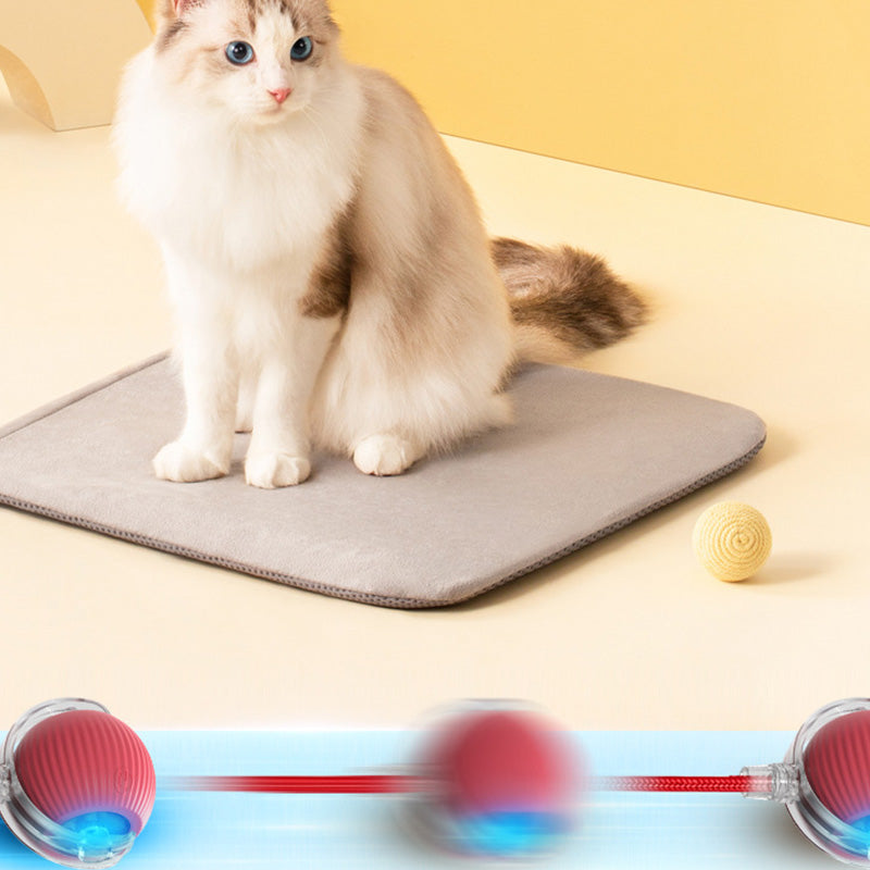 🐾 50% RABATT! 🔥 Intelligenter selbstrollender Ball – Hindernissensor, aufladbar & leicht – Perfekt für Hunde & Katzen – 3 Farben, interaktiver Spielspaß für drinnen und draußen 🎾