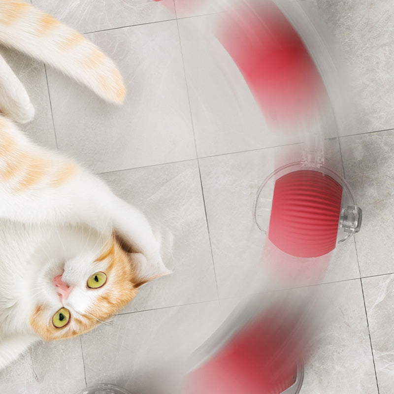 🐾 50% RABATT! 🔥 Intelligenter selbstrollender Ball – Hindernissensor, aufladbar & leicht – Perfekt für Hunde & Katzen – 3 Farben, interaktiver Spielspaß für drinnen und draußen 🎾