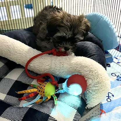 🐾 50% RABATT! 🔥 Intelligenter selbstrollender Ball – Hindernissensor, aufladbar & leicht – Perfekt für Hunde & Katzen – 3 Farben, interaktiver Spielspaß für drinnen und draußen 🎾