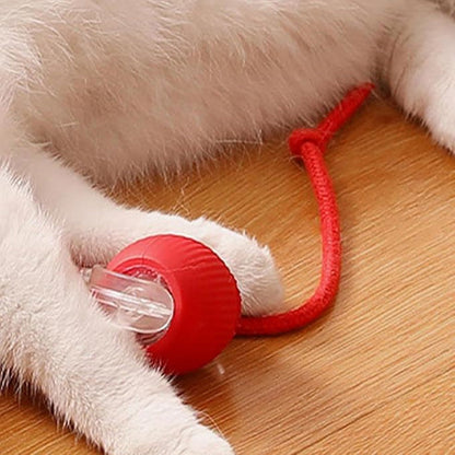 🐾 50% RABATT! 🔥 Intelligenter selbstrollender Ball – Hindernissensor, aufladbar & leicht – Perfekt für Hunde & Katzen – 3 Farben, interaktiver Spielspaß für drinnen und draußen 🎾