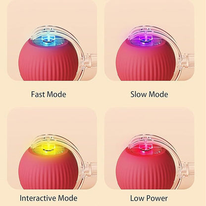 🐾 50% RABATT! 🔥 Intelligenter selbstrollender Ball – Hindernissensor, aufladbar & leicht – Perfekt für Hunde & Katzen – 3 Farben, interaktiver Spielspaß für drinnen und draußen 🎾
