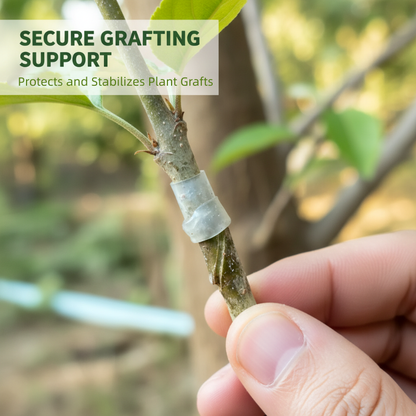 🌳 50% RABATT JETZT! ✨ Silikon-Veredelungshülsen (50/150/250 Stück) – Flexibel, Wetterbeständig & Fördert das Anwachsen von Obstbäumen 🛠️🌱