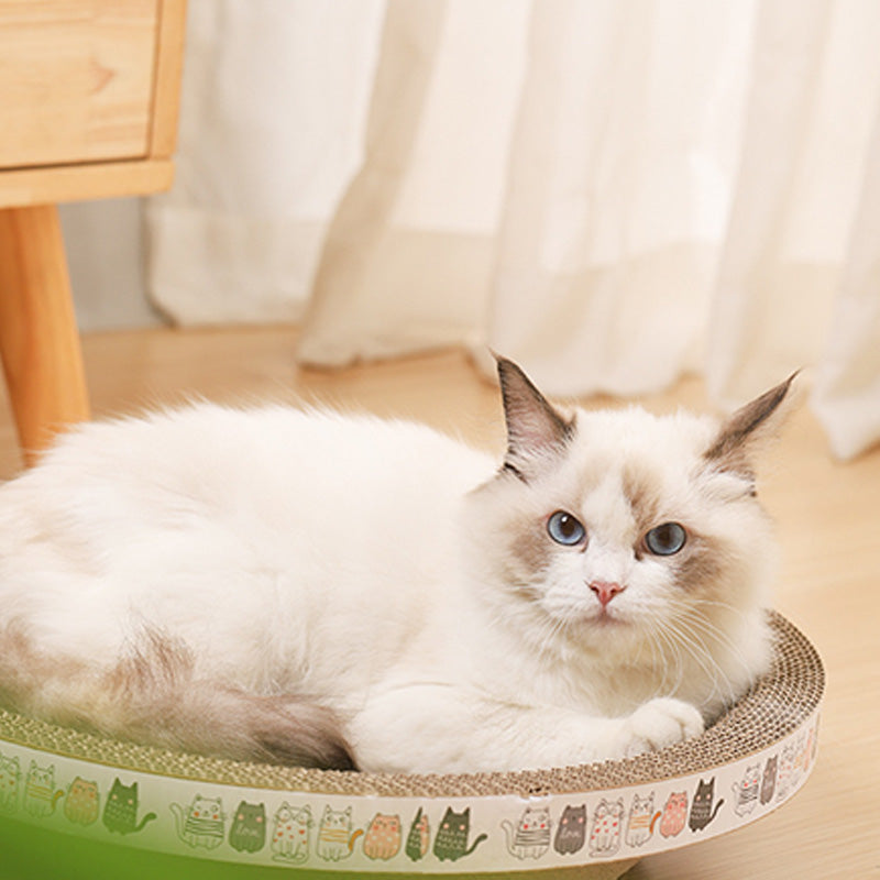 Multi-Functional Bowl-Shaped Corrugated Cat Scratcher
