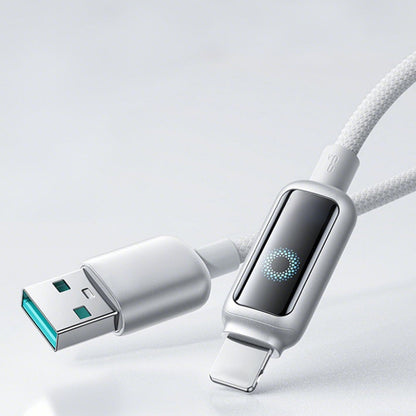 Lot promotionnel : Câble de charge rapide à coupure intelligente + Crochet organiseur de câbles