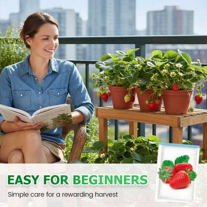 🍓Einfach anzubauende Erdbeersamen – streuen Sie die Samen aus und freuen Sie sich auf eine rubinrote Ernte!🍓✨