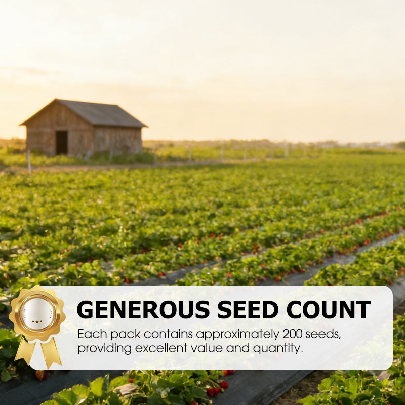 🍓Einfach anzubauende Erdbeersamen – streuen Sie die Samen aus und freuen Sie sich auf eine rubinrote Ernte!🍓✨