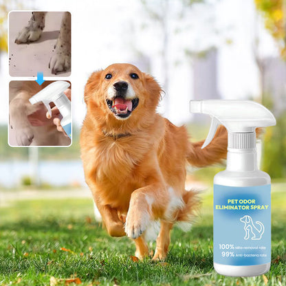 📢📢50 % Rabatt!! 🐾✨ Geruchsentferner‑Spray für Haustiere｜Beseitigt Tiergerüche, schonend für Innenräume