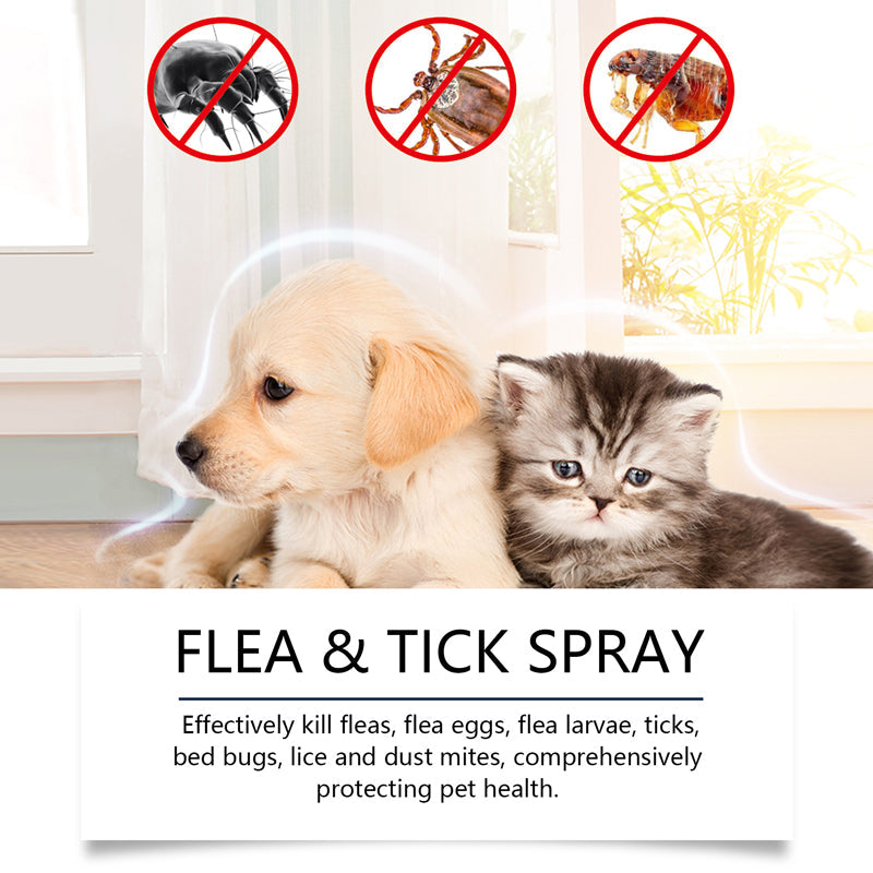 🍃 Natürliches Floh- und Zeckenspray für Hunde und Katzen 🐾 Halte dein geliebtes Haustier frei von Schädlingen 🐶🐱✨