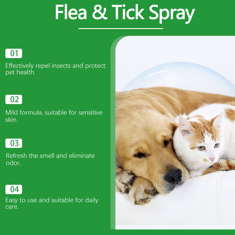 🍃 Natürliches Floh- und Zeckenspray für Hunde und Katzen 🐾 Halte dein geliebtes Haustier frei von Schädlingen 🐶🐱✨