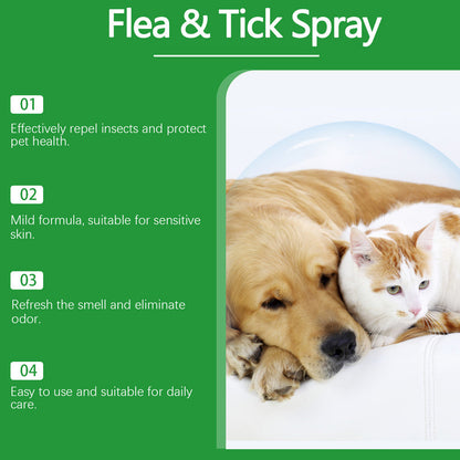🍃 Natürliches Floh- und Zeckenspray für Hunde und Katzen 🐾 Halte dein geliebtes Haustier frei von Schädlingen 🐶🐱✨